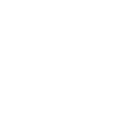 coronavirus icon